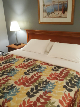 The Islander Motel - King Bed